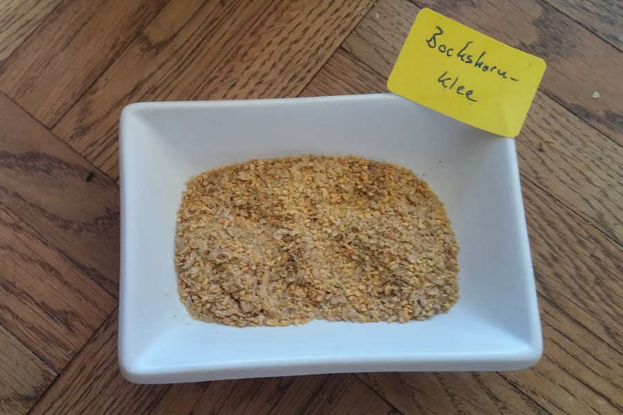 Bockshornklee Gewürz