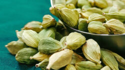 Cardamom