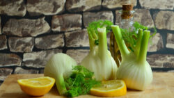 Fenchel