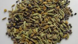 Panch-Phoron