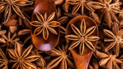 Sternanis