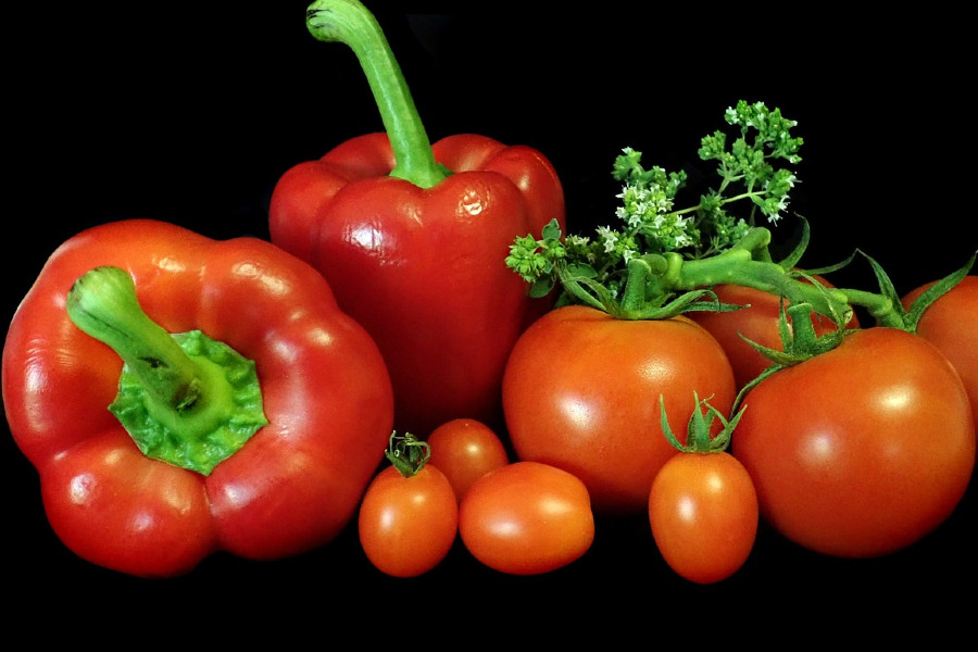 Zutaten Paprika Tomaten